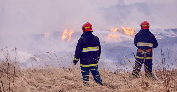 Spring forest fires are raging. Burning dry grass, reeds in the field. Grass is on fire in the meadow. pompieri guardano un incendio boschivo
