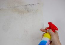 Come togliere la muffa da muri, finestre e vestiti: le soluzioni Un uomo tiene in mano uno spray per rimuovere la muffa dai muri